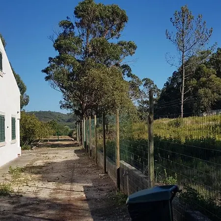 Casa Dos Morgados 度假居 卡尔达斯达·赖尼亚