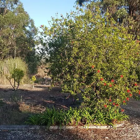 Casa Dos Morgados קלדס דה ריינה